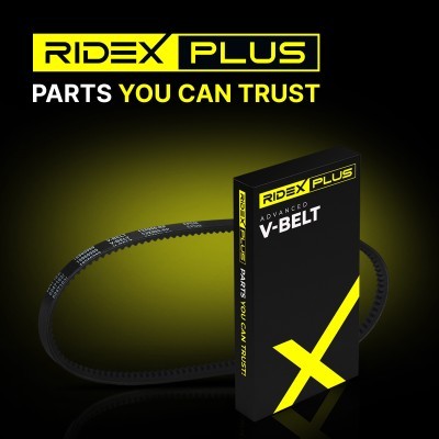 Keilriemen RIDEX 10C0117P 10C0117P - foto 12