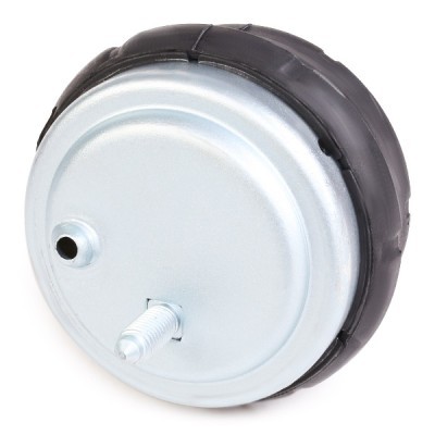 Motoraufhängung RIDEX 247E0063 247E0063 - foto 5