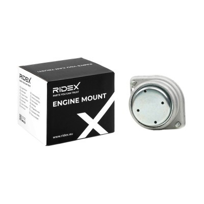 Motoraufhängung RIDEX 247E0702 247E0702 - foto 2