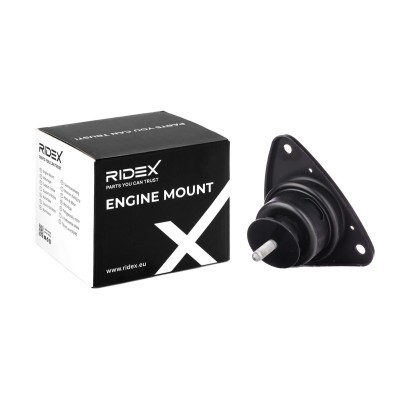 Motoraufhängung RIDEX 247E0569 247E0569 - foto 2