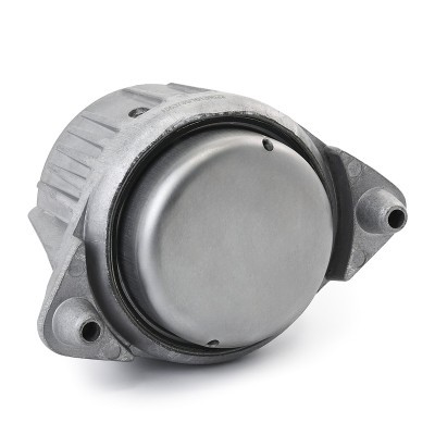 Motoraufhängung RIDEX 247E0606 247E0606 - foto 4
