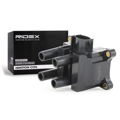 Zündspule RIDEX 689C0007 689C0007 - foto 3