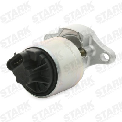 AGR-Ventil Stark SKEGR-0770161 SKEGR-0770161 - foto 3