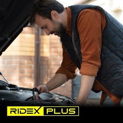 Keilriemen RIDEX 10C0105P 10C0105P - foto 8