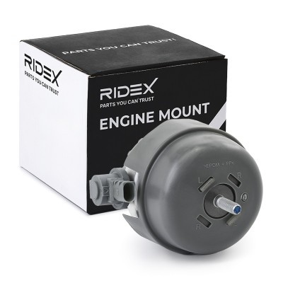 Motoraufhängung RIDEX 247E0393 247E0393 - foto 2