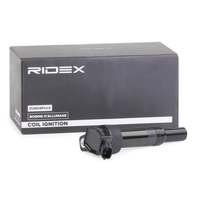 Zündspule RIDEX 689C0345 689C0345 - foto 2