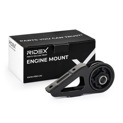 Motoraufhängung RIDEX 247E1124 247E1124 - foto 2