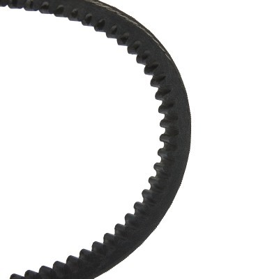 Keilriemen RIDEX 10C0059P 10C0059P - foto 3