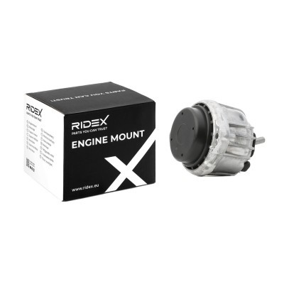 Motoraufhängung RIDEX 247E0168 247E0168 - foto 2
