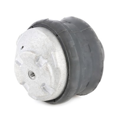 Motoraufhängung RIDEX 247E0002 247E0002 - foto 3