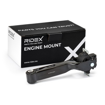 Motoraufhängung RIDEX 247E0349 247E0349 - foto 2