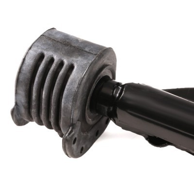 Querlenker RIDEX 273C0376 273C0376 - foto 5