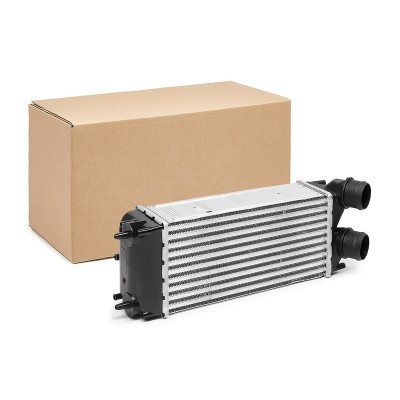 Ladeluftkühler RIDEX 468I0305 468I0305 - foto 2