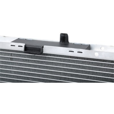 Kühler, Motorkühlung RIDEX 470R0384 470R0384 - foto 9