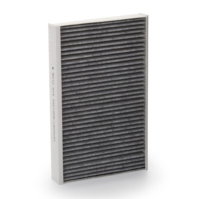 Filter, Innenraumluft RIDEX 424I0170 424I0170 - foto 6