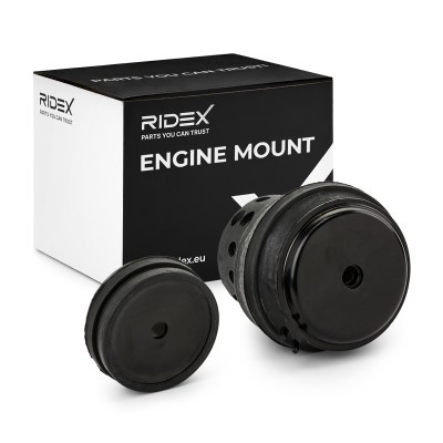Motoraufhängung RIDEX 247E0828 247E0828 - foto 2