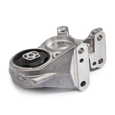 Motoraufhängung RIDEX 247E0986 247E0986 - foto 5
