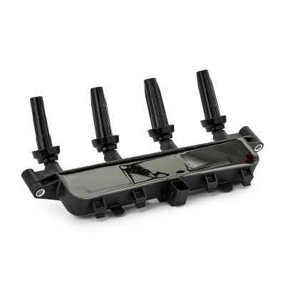 Zündspule RIDEX 689C0091 689C0091 - foto 5