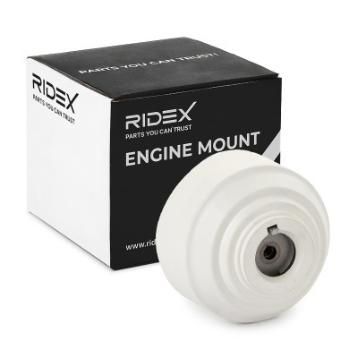 Motoraufhängung RIDEX 247E0755 247E0755 - foto 2