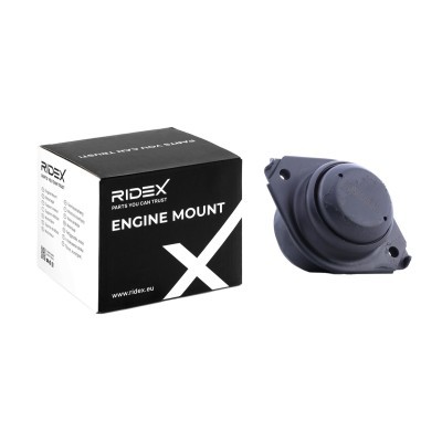 Motoraufhängung RIDEX 247E0286 247E0286 - foto 2