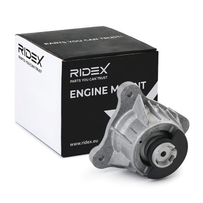 Motoraufhängung RIDEX 247E1019 247E1019 - foto 2
