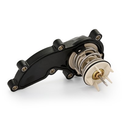 Thermostat, Kühlmittel RIDEX 316T0417 316T0417 - foto 4