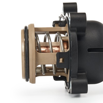 Thermostat, Kühlmittel RIDEX 316T0175 316T0175 - foto 5