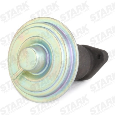 AGR-Ventil Stark SKEGR-0770217 SKEGR-0770217 - foto 4