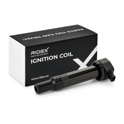 Zündspule RIDEX 689C0134 689C0134 - foto 2