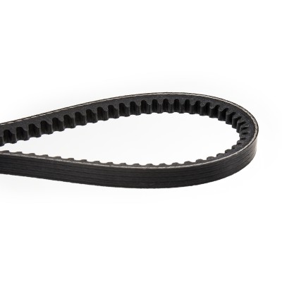 Keilriemen RIDEX 10C0005 10C0005 - foto 4