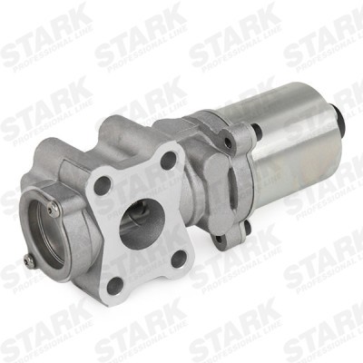 AGR-Ventil Stark SKEGR-0770261 SKEGR-0770261 - foto 4