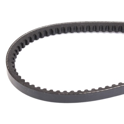 Keilriemen RIDEX 10C0025 10C0025 - foto 4