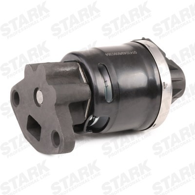 AGR-Ventil Stark SKEGR-0770046 SKEGR-0770046 - foto 4