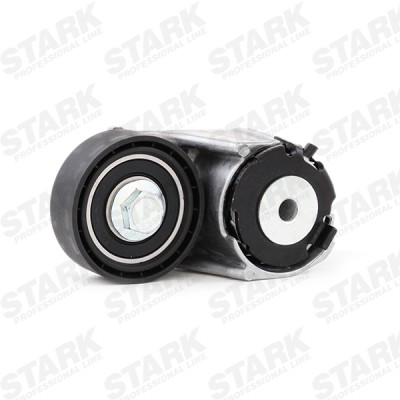 Spannarm Keilrippenriemen Stark SKTP-0600109 SKTP-0600109 - foto 4