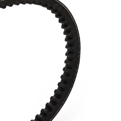 Keilriemen RIDEX 10C0021 10C0021 - foto 4