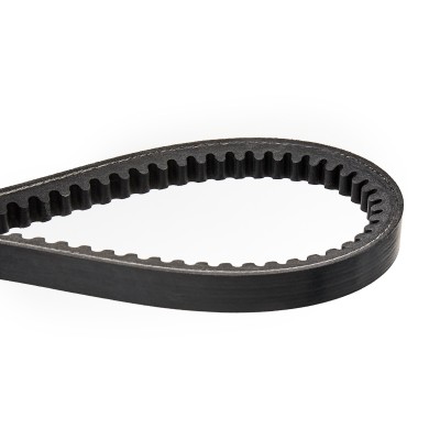 Keilriemen RIDEX 10C0023 10C0023 - foto 4
