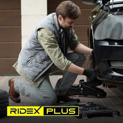 Bremsscheibe RIDEX 82B0017P 82B0017P - foto 8