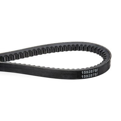 Keilriemen RIDEX 10C0018 10C0018 - foto 4