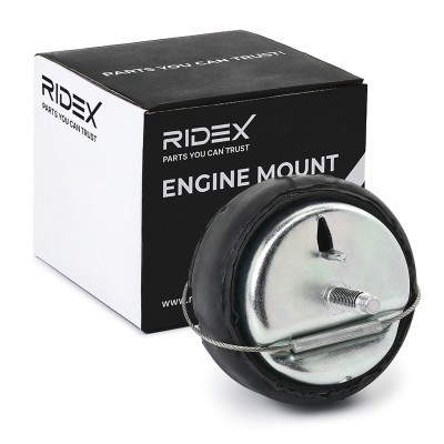 Motoraufhängung RIDEX 247E0513 247E0513 - foto 2