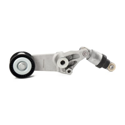 Spannarm Keilrippenriemen RIDEX 310T0252 310T0252 - foto 5