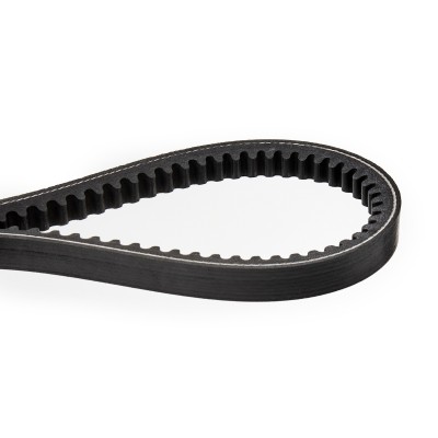 Keilriemen RIDEX 10C0041 10C0041 - foto 4