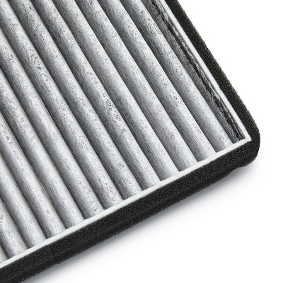 Filter, Innenraumluft RIDEX 424I0045 424I0045 - foto 8