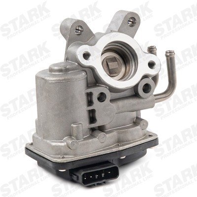 AGR-Ventil Stark SKEGR-0770259 SKEGR-0770259 - foto 6