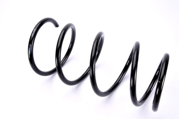 Fahrwerksfeder Magnum Technology SR019MT SR019MT - foto 1