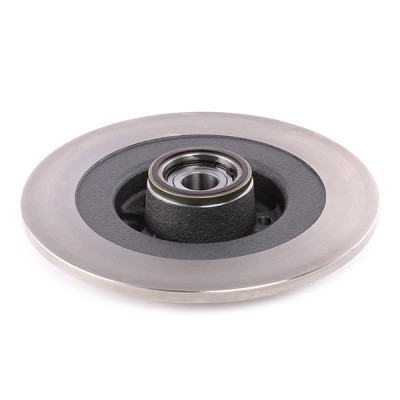 Bremsscheibe RIDEX 82B0991 82B0991 - foto 5
