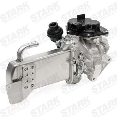 AGR-Ventil Stark SKEGR-0770233 SKEGR-0770233 - foto 4