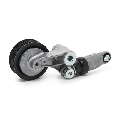 Spannarm Keilrippenriemen RIDEX 310T0969 310T0969 - foto 4