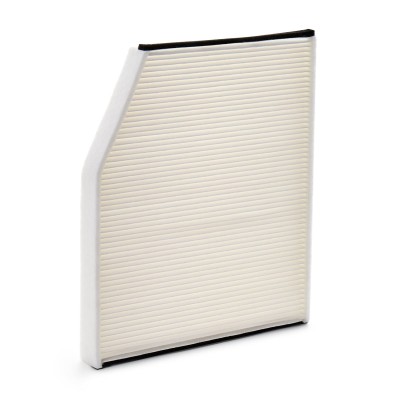 Filter, Innenraumluft RIDEX 424I0401P 424I0401P - foto 3