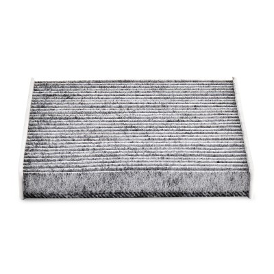 Filter, Innenraumluft RIDEX 424I0221P 424I0221P - foto 4