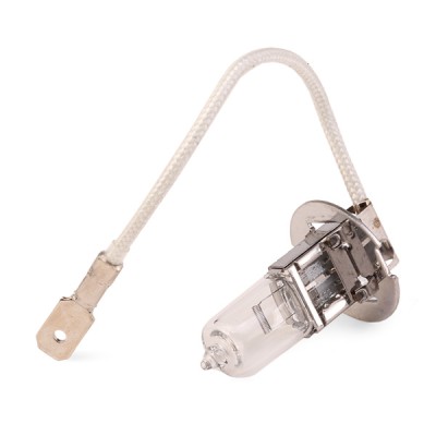 Glühlampe RIDEX 106B0010 106B0010 - foto 5